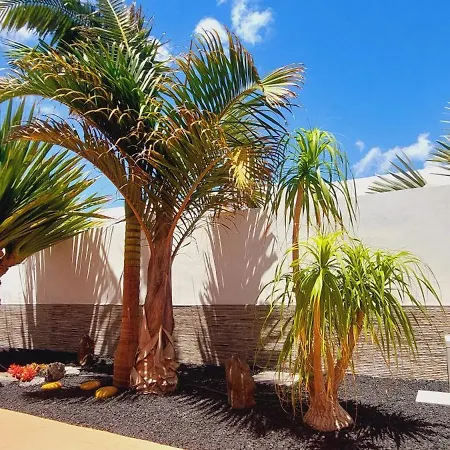 빌라 Del Corazon Salinas Golf 칼레타데푸스테